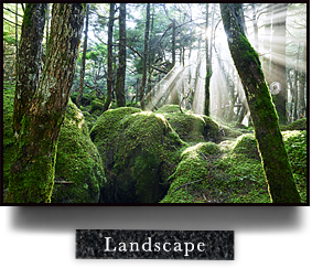 ��7RII GALLERY Landscape