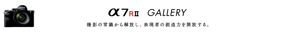 ��7R II GALLERY