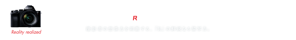 ��7R PHOTO GALLERY