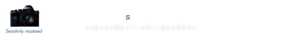 ��7S GALLERY