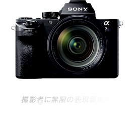��7S II �B�e�҂ɖ����̕\���̈��