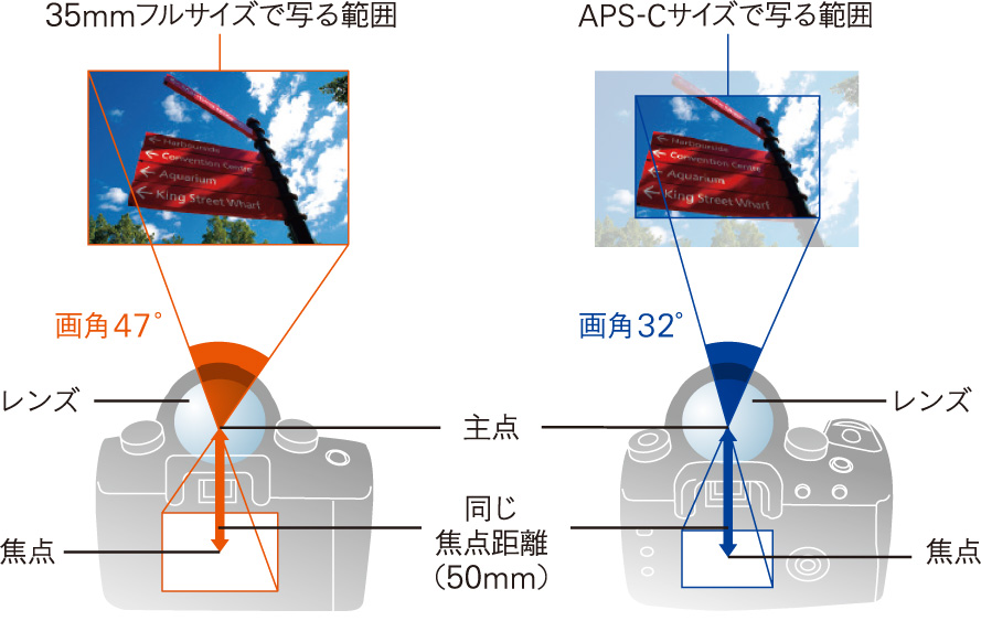 APS-C�T�C�Y��35mm�t���T�C�Y�̎ʂ�̈Ⴂ