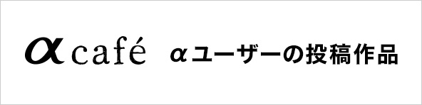 �����[�U�[�̓��e��i