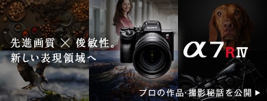 ��i�掿 �~ �r�q���B�V�����\���̈�� ��7R IV SPECIAL CONTENTS