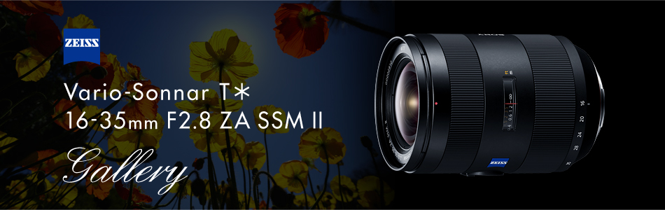 Vario-Sonnar T�� 16-35mm F2.8 ZA SSM II