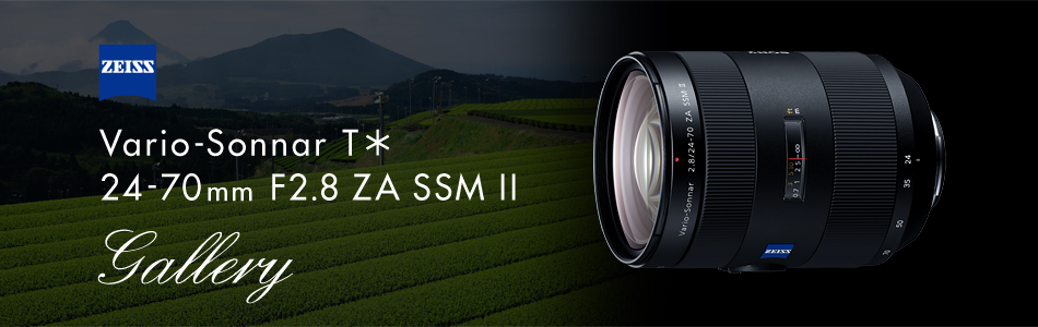 Vario-Sonnar T�� 24-70mm F2.8 ZA SSM II