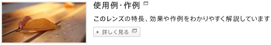 �g�����E���ց@���̃����Y�̓������킩��₷��������Ă��܂�