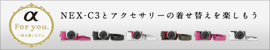 NEX-C3�ƃA�N�Z�T���[�̒����ւ����y������