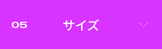 05 �T�C�Y