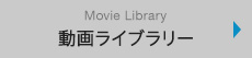 ���惉�C�u�����[