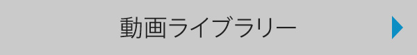 ���惉�C�u�����[