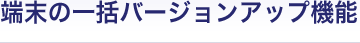�[���̈ꊇ�o�[�W�����A�b�v�@�\