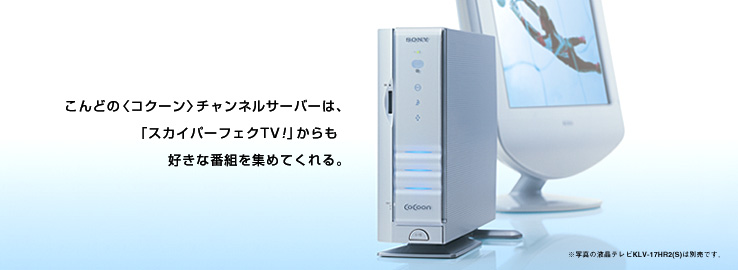 ����ǂ́q�R�N�[���r�`�����l���T�[�o�[�́A�u�X�J�C�p�[�t�F�NTV!�v������D���Ȕԑg���W�߂Ă����B