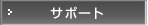 �T�|�[�g