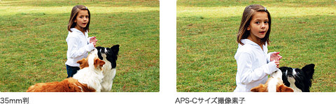 ��DT�����Y��35mm����჌�t�J�����ɂ͎g�p�ł��܂���