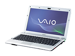 �V���o�[