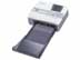 DPP-FP55