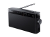 ICF-306