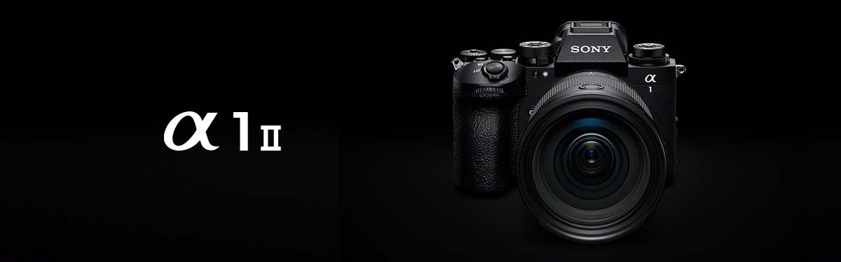 �� �ʐ^�̃����Y�͕ʔ���FE 24-70mm F2.8 GM II�ł�
