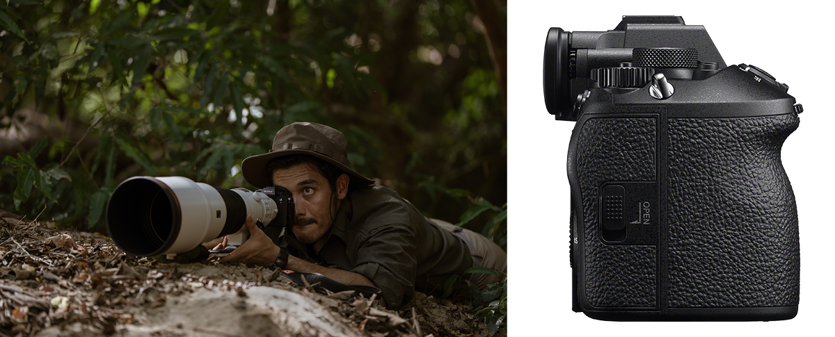�� �ʐ^�̃����Y�͕ʔ���FE 600mm F4 GM OSS�ł�