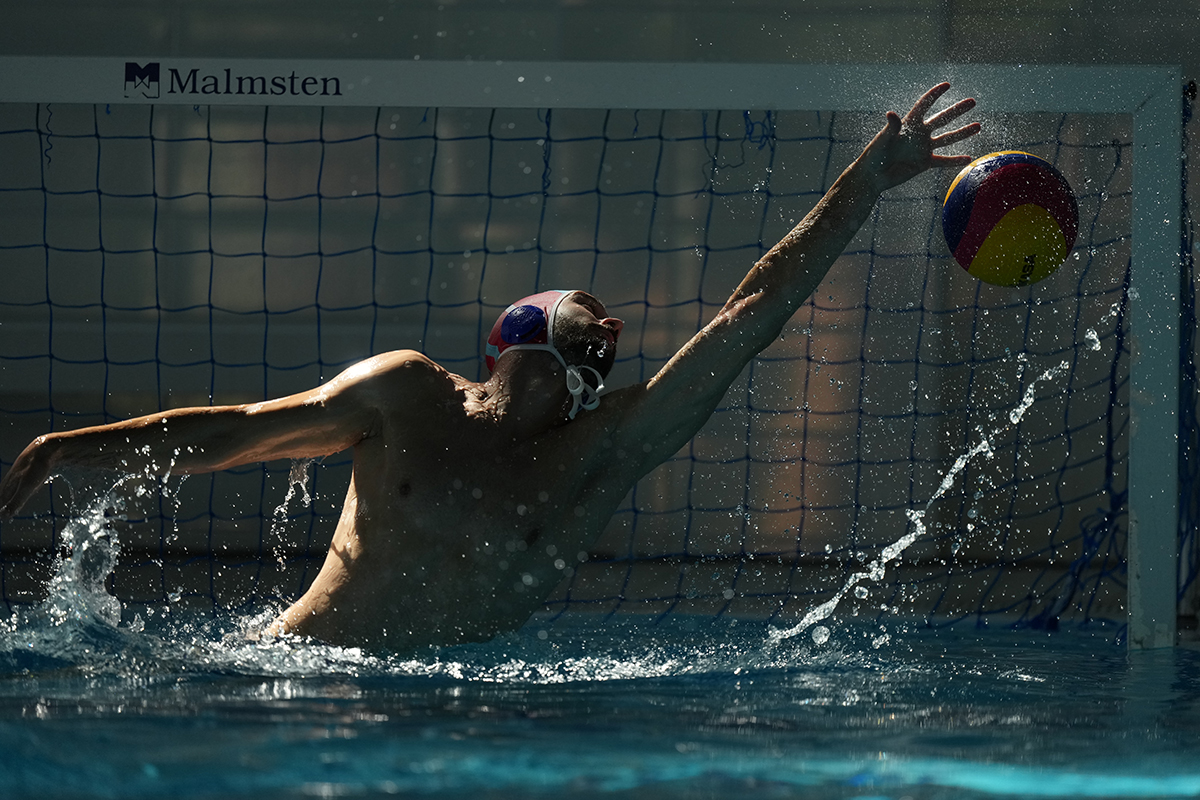 FE 600mm F4 GM OSS�@600mm�@1/4000�b�@F4�@ISO1600