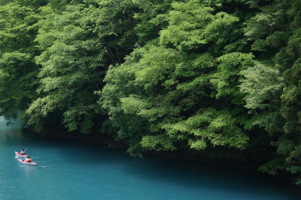 FE 100-400mm F4.5-5.6 GM OSS�@1/160�b�@F4.5�@ISO100