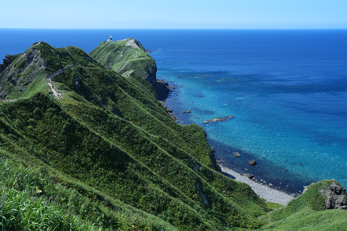 FE 24-70mm F2.8 GM II�@33mm�@1/200�b�@F8�@ISO100