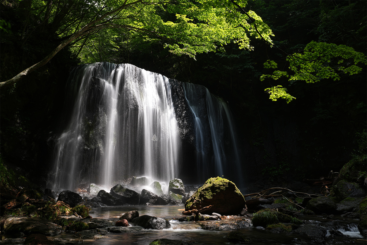 FE 24-70mm F2.8 GM II�@30mm�@1/3�b�@F11�@ISO100