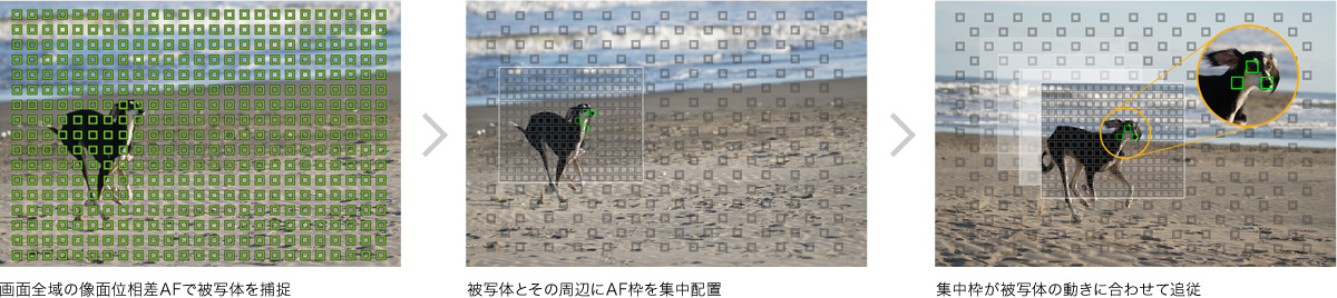 �� �摜�̓A���S���Y���̓���C���[�W�ł�