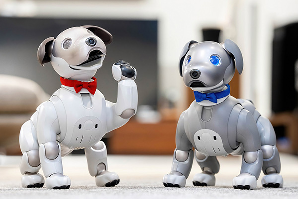 aibo�ɒ��l�N�^�C�𑕒������C���[�W