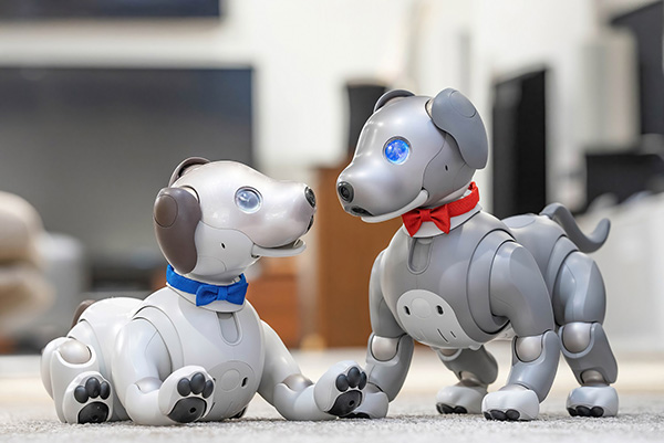 aibo�ɒ��l�N�^�C�𑕒������C���[�W