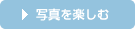 �ʐ^���y����