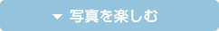 �ʐ^���y����