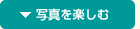 �ʐ^���y����