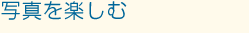 �ʐ^���y����
