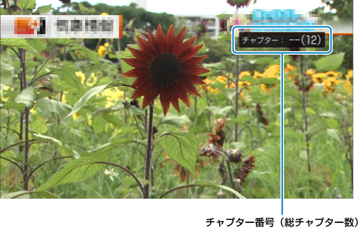 チャプター番号入力画面