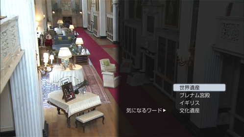 ビデオ画面