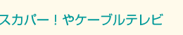 �X�J�p�[�I��P�[�u���e���r