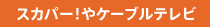 �X�J�p�[�I��P�[�u���e���r
