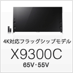 X9300C