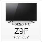 Z9F