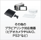 ���̑��̃u���r�A�����N�Ή��@��i�r�f�I�J������VAIO�APS3�iR�j�Ȃǁj