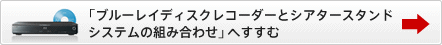 �u�u���[���C�f�B�X�N���R�[�_�[�ƃV�A�^�[�X�^���h�V�X�e���̑g�ݍ��킹�v