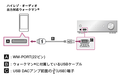 UDA-1