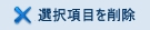 �I�����ڂ��폜