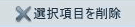 �I�����ڂ��폜
