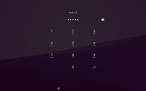 PIN�����