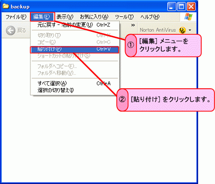 �菇5-1