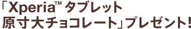 �uXperia&trade; �^�u���b�g  ������`���R���[�g�v�v���[���g�I