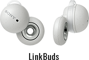 LinkBuds